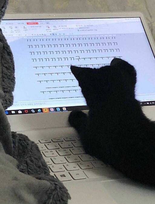 티사니 얼른 노트북 끄고 누우세요 자야 돼요