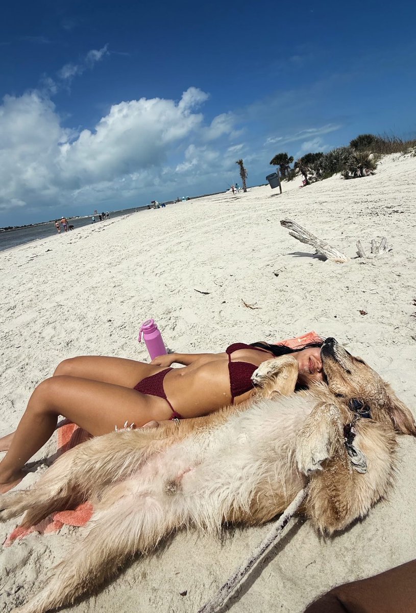 WrestlingWorldCC tweet media