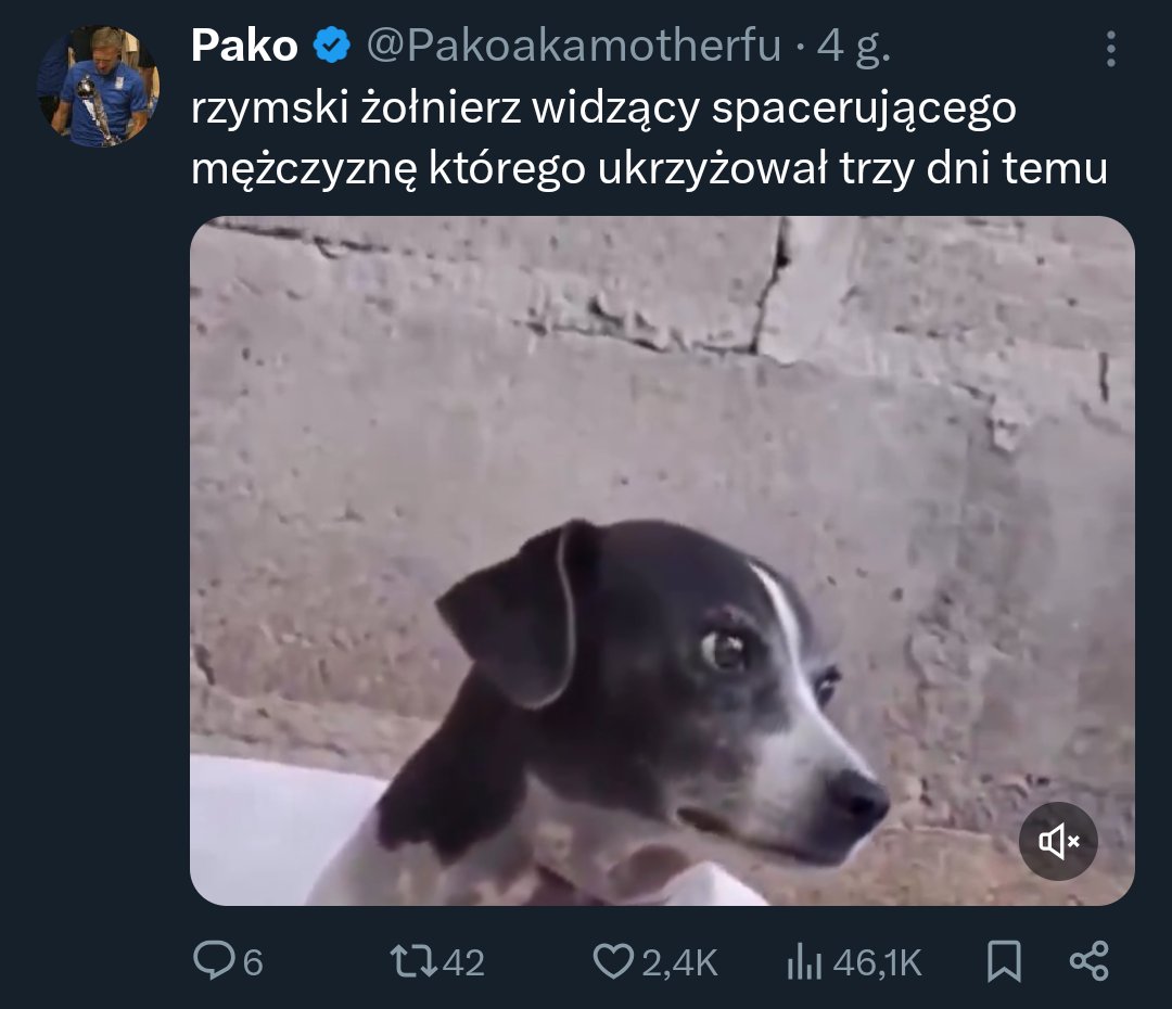 kapisevicius tweet media