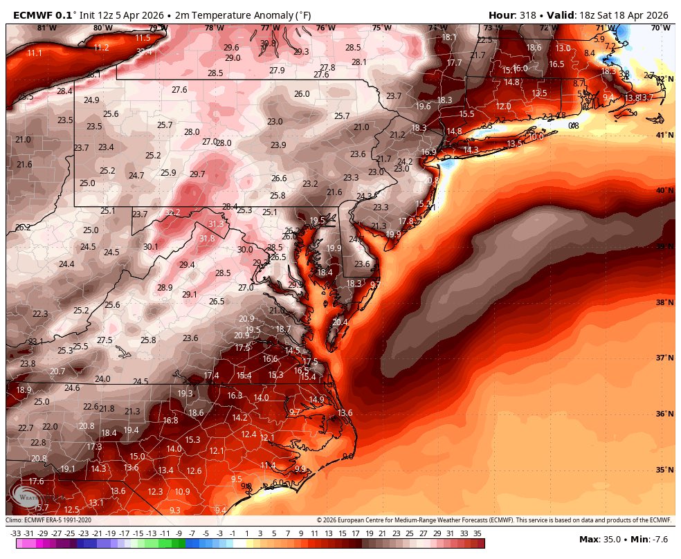 charlotte tweet media