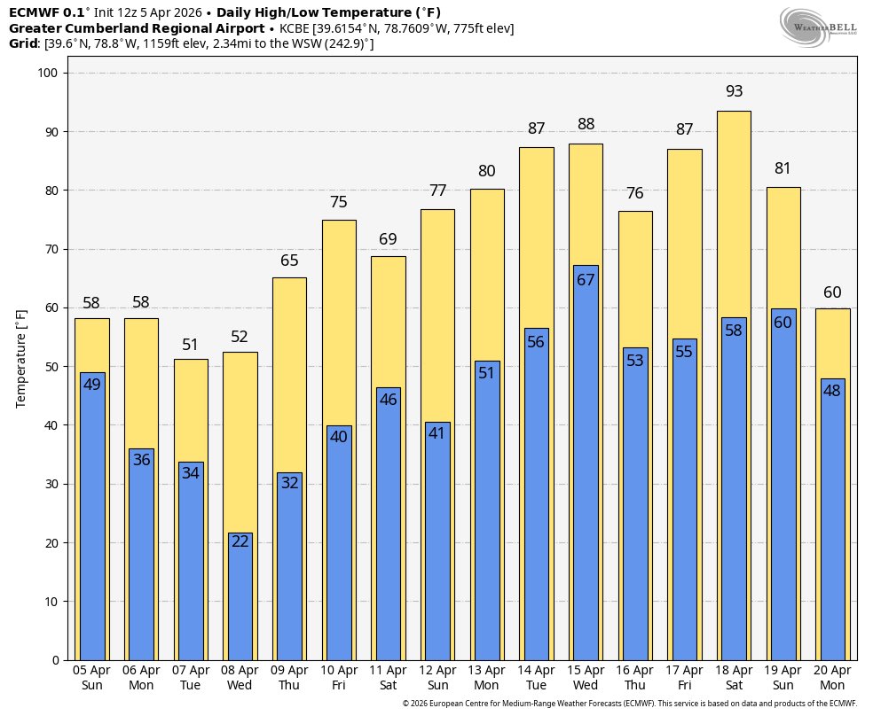 charlotte tweet media