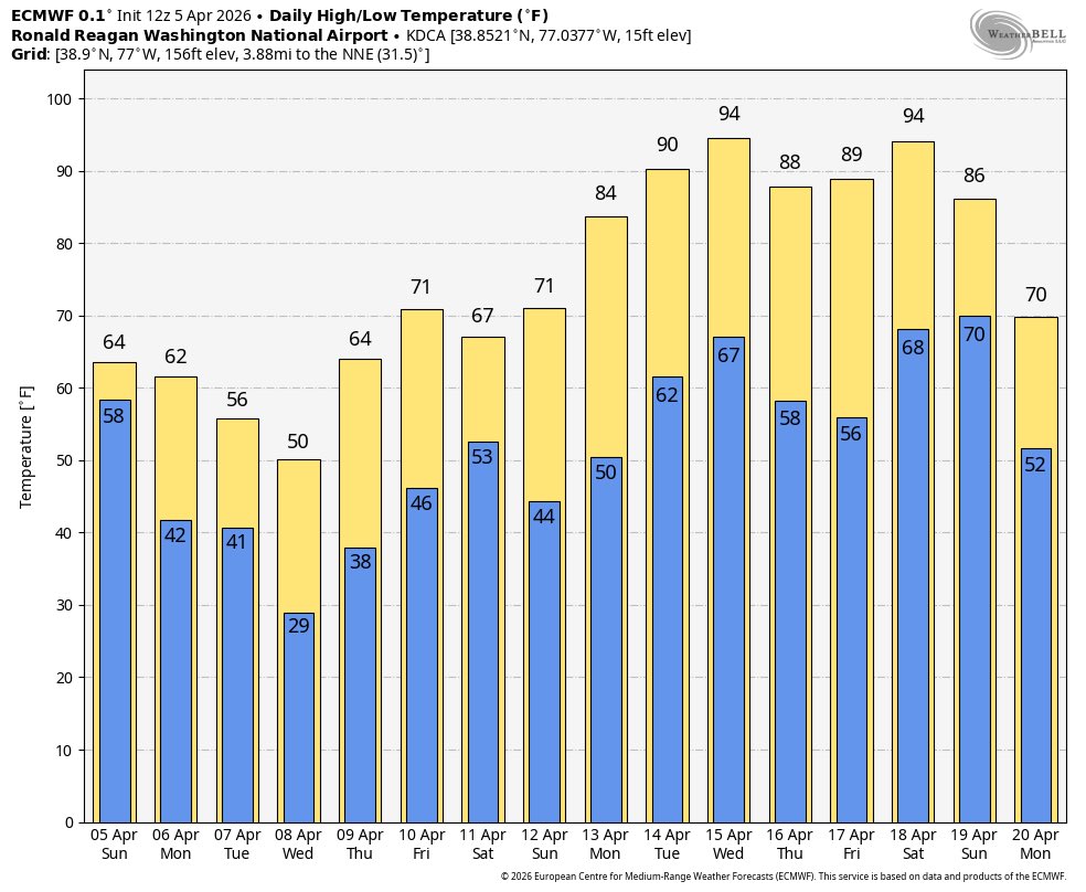 charlotte tweet media