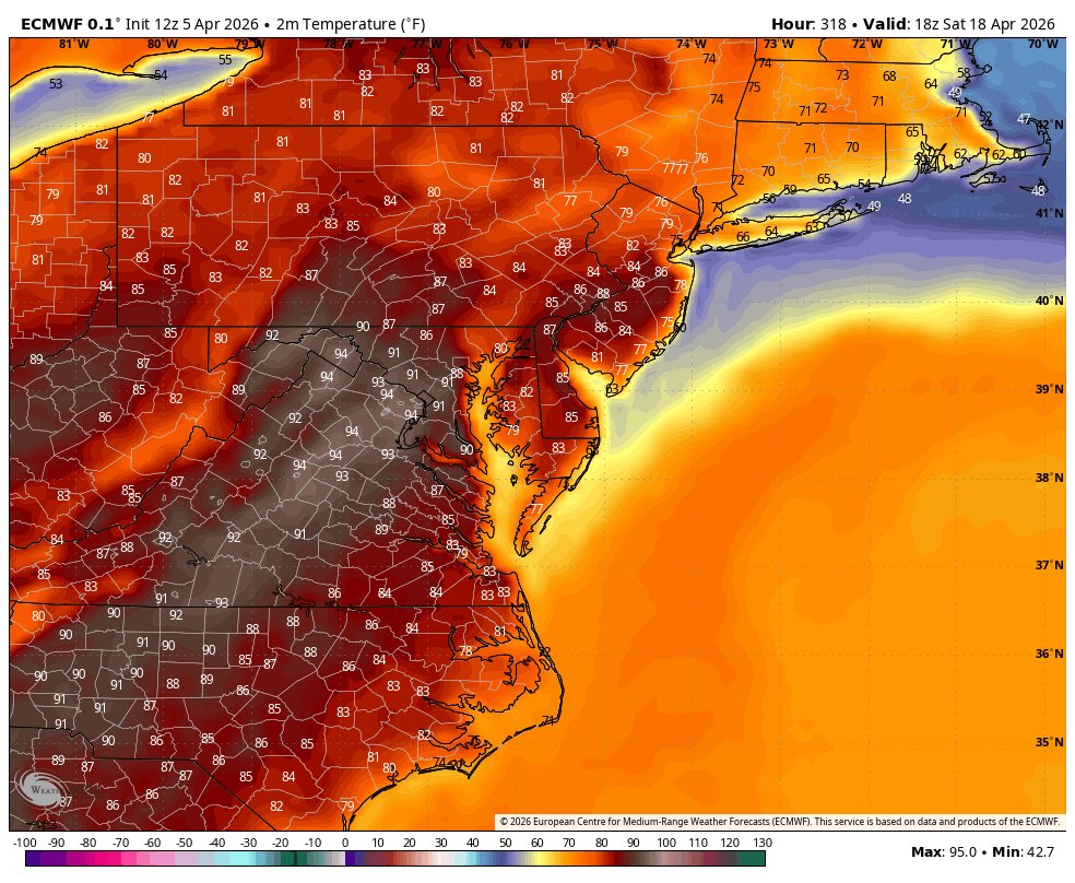 charlotte tweet media