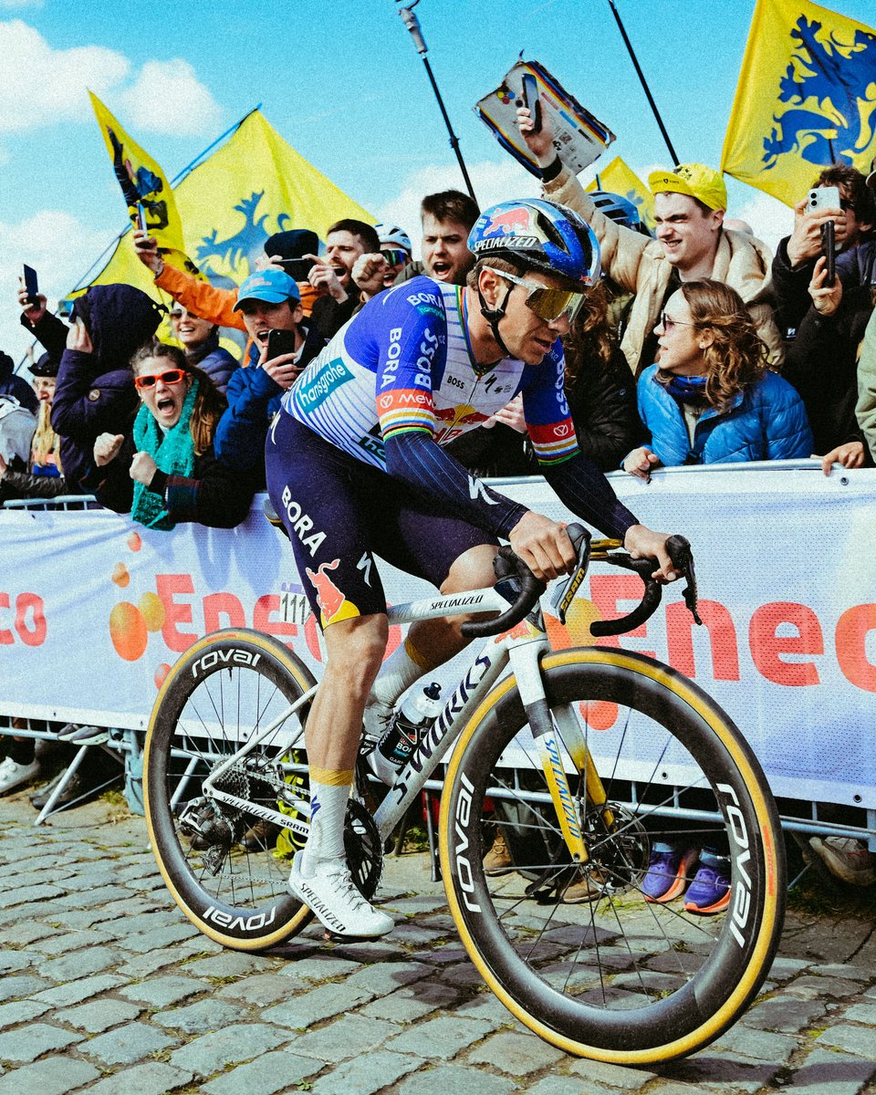 Remco Evenepoel tweet media