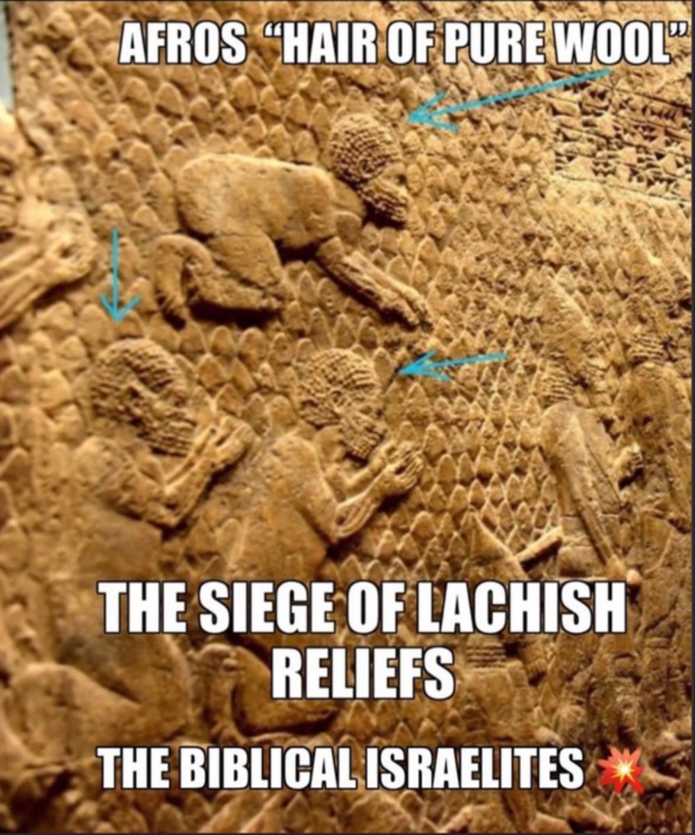 C Ducket tweet media