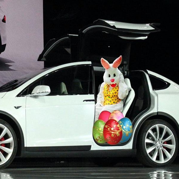 Evan Luthra tweet media