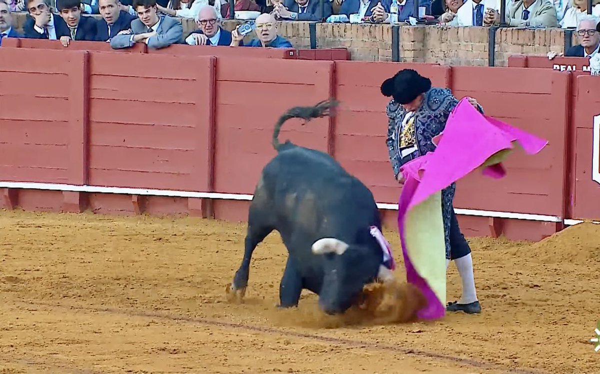 "Morante suspendió el tiempo del toreo, cincelando con el capote una liturgia antigua, de esas que huelen a albero y a eternidad".

🇪🇸D@vidBor🇪🇸

#TorosEnCanalSur
<a href="/MoranteTour/">Morante Tour</a> <a href="/CanalSurRadio/">Canal Sur Radio</a> <a href="/canalsur/">CanalSur</a> <a href="/tpt_tv/">Toros Para Todos</a> <a href="/LancesMaestranz/">lancesmaestranza</a>