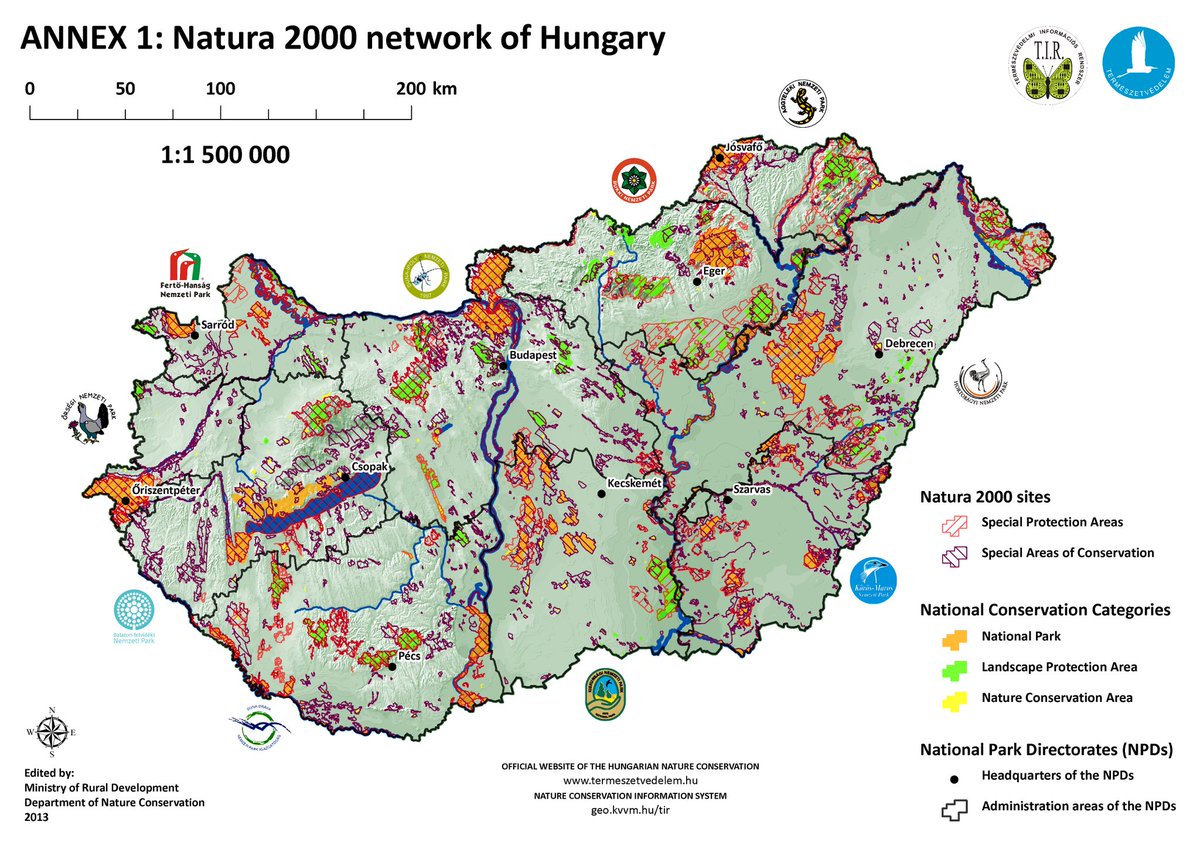 Solongo 💛💙 tweet media