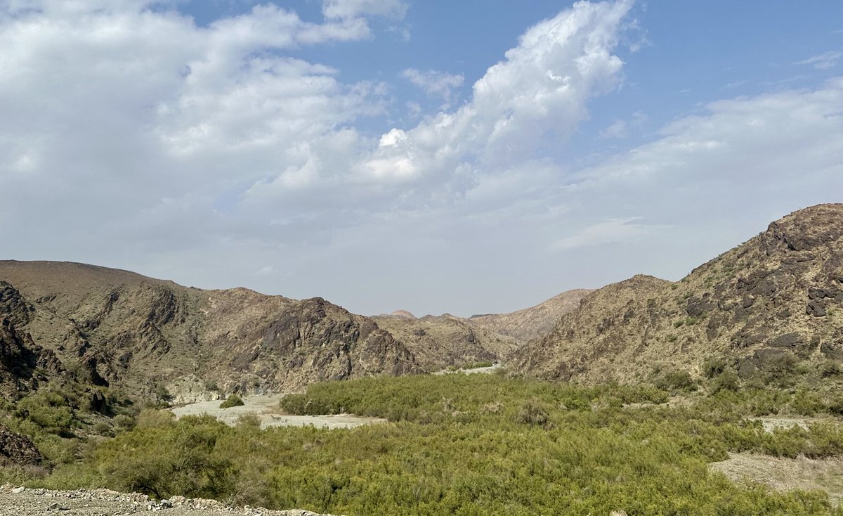 Serphacanza tweet media