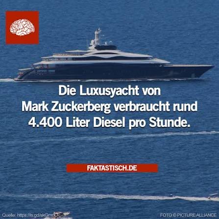 HansAlbert tweet media