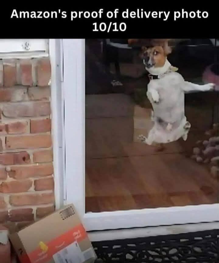 AmericaReal tweet media