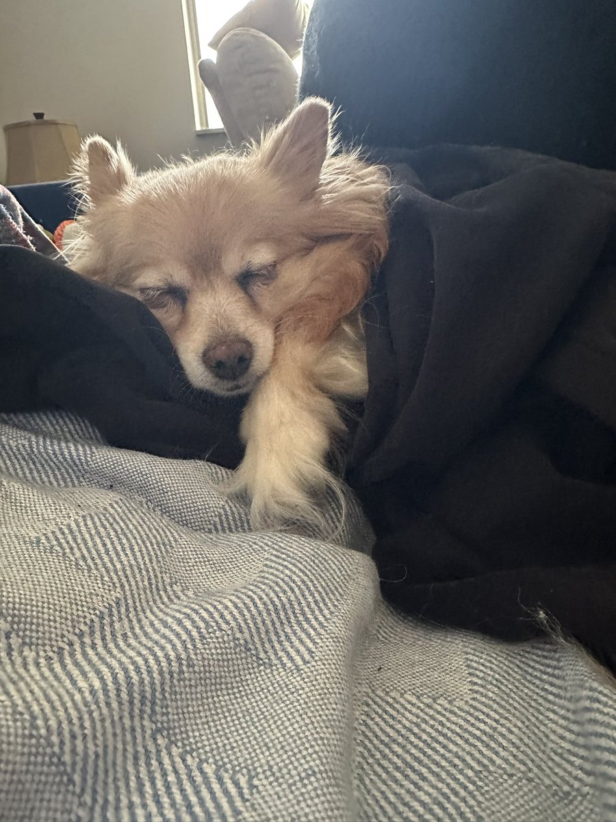 ⟡ s a g e ⟡ tweet media