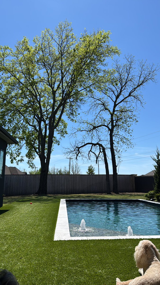 Tornado🌪️ Allie tweet media