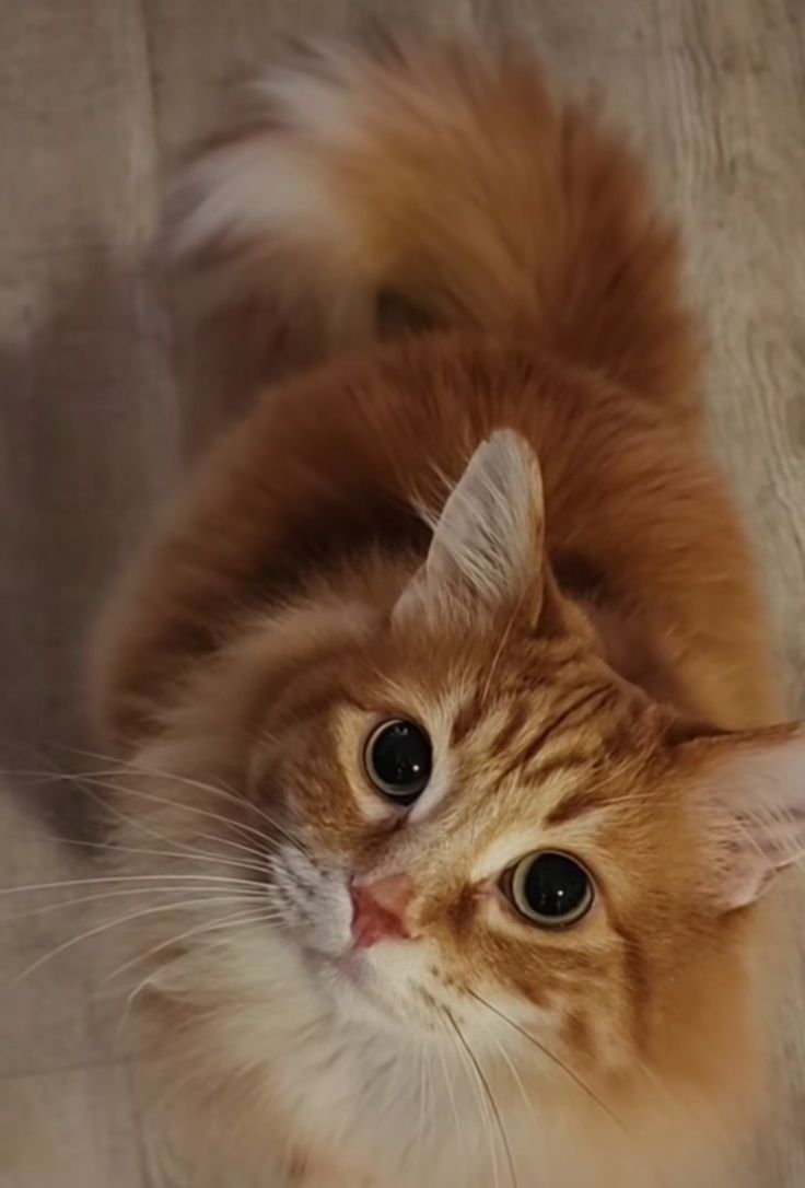 Mary 🕊️ tweet media