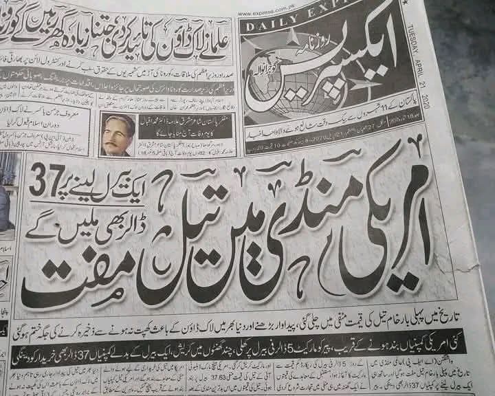 میاں عامر 🦁 tweet media