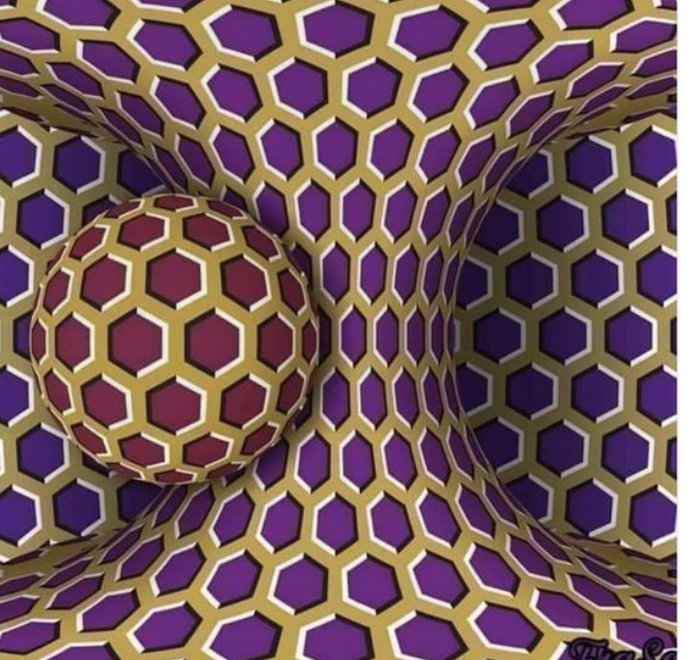 Mr Bee | CM tweet media