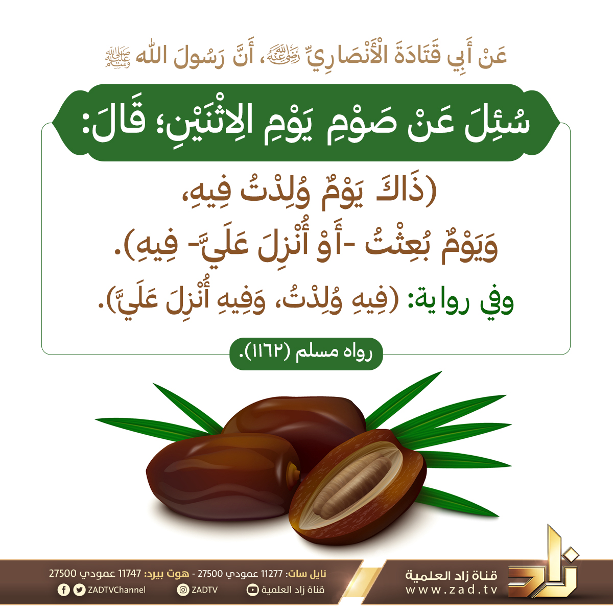 قناة زاد العلمية الفضائية tweet media