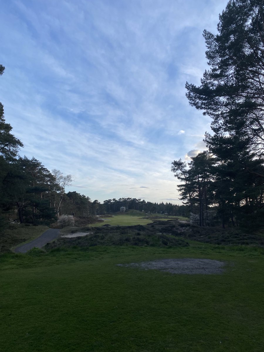 Maarten van den Berg tweet media