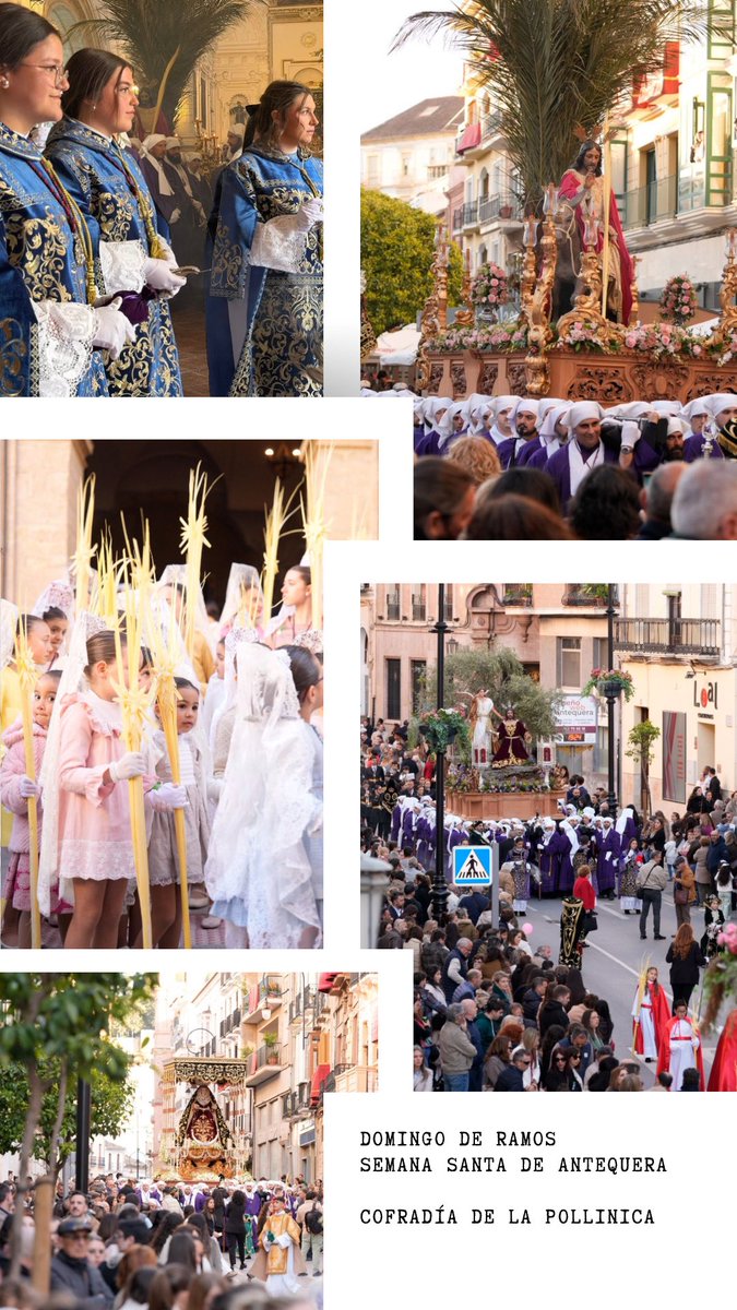 Ayuntamiento de Antequera tweet media