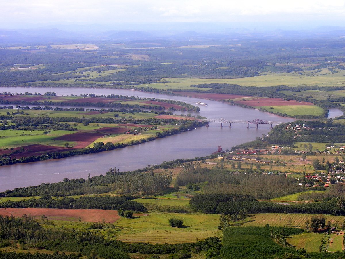 Microfilme tweet media