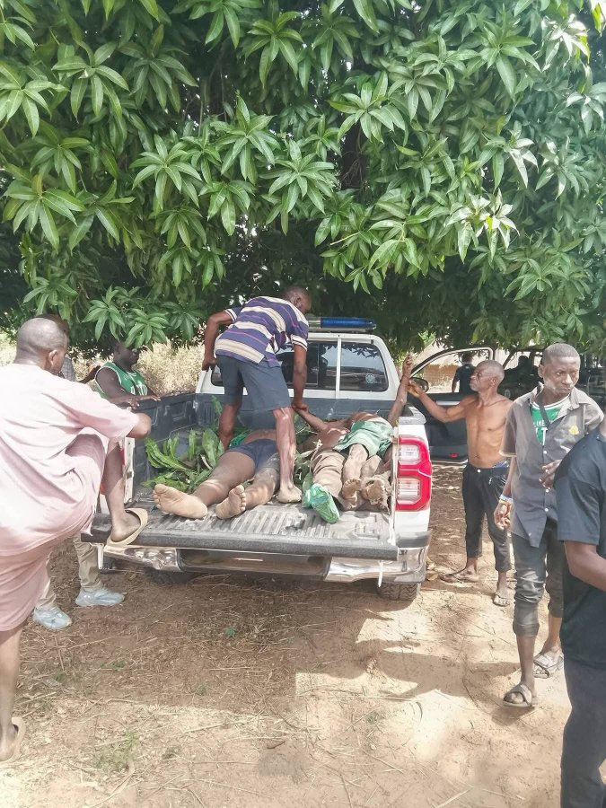 Queen Bee 👑 🐝 tweet media