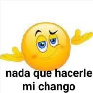 ☀️APOLLO🎼 tweet media