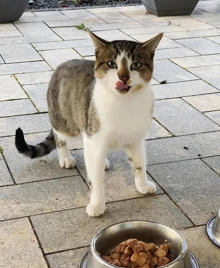 Sara Mary ⭐❤️ tweet media