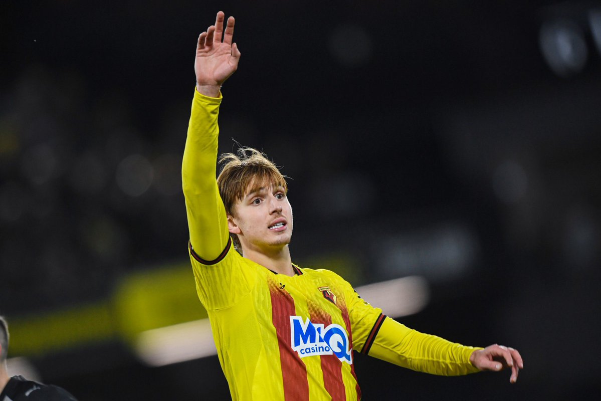 Watford Argentina 🐝🇦🇷 tweet media