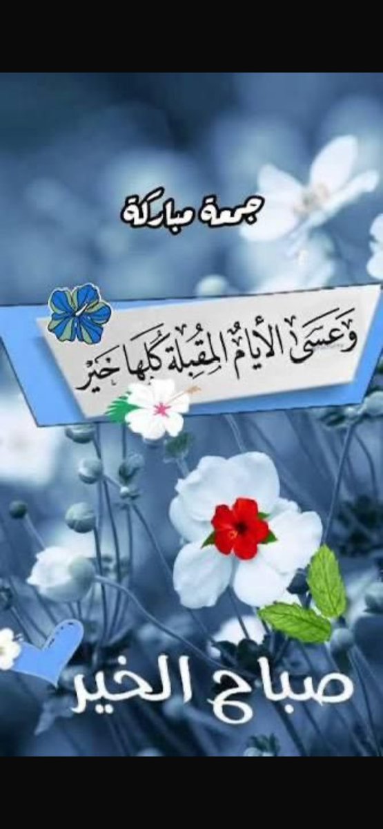 🌴سليمان الدهيمان🌴 tweet media