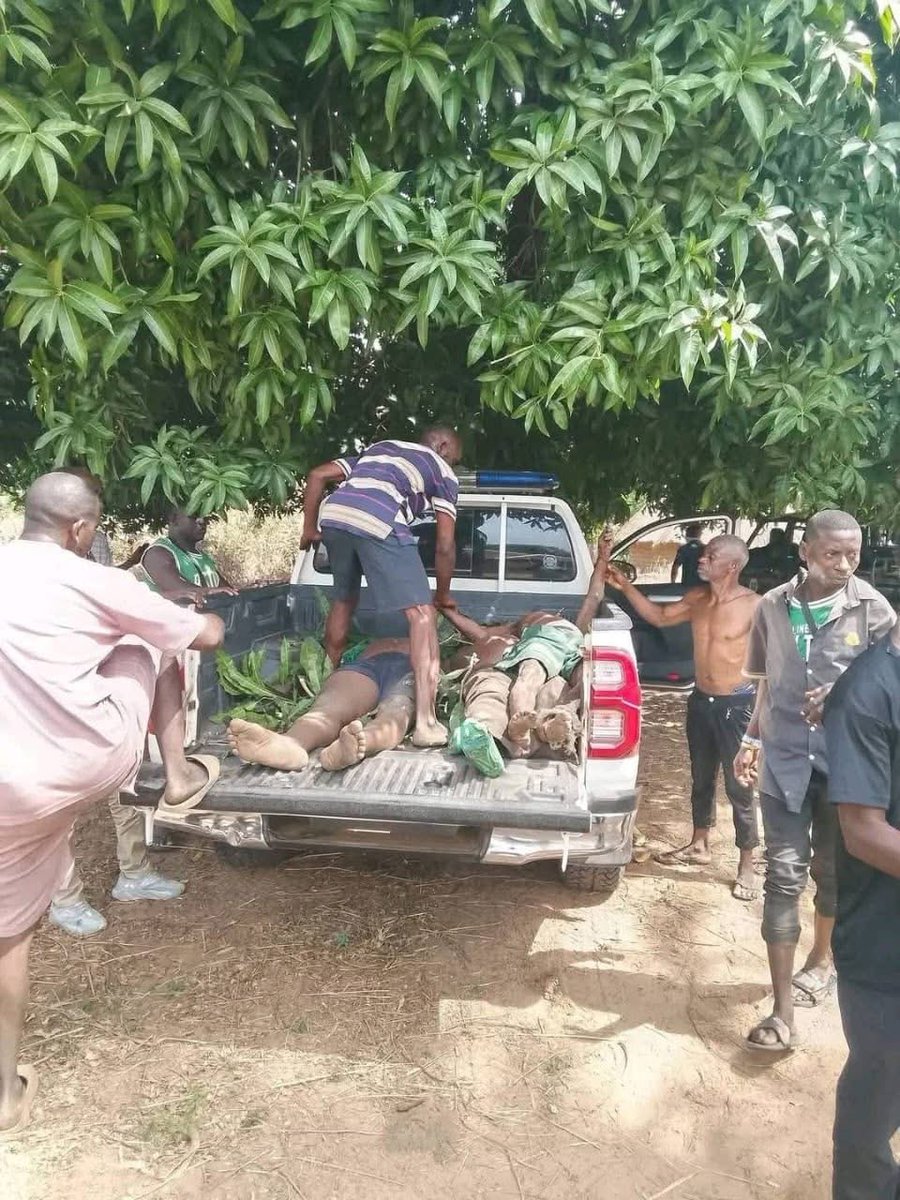 J. C. Okechukwu tweet media