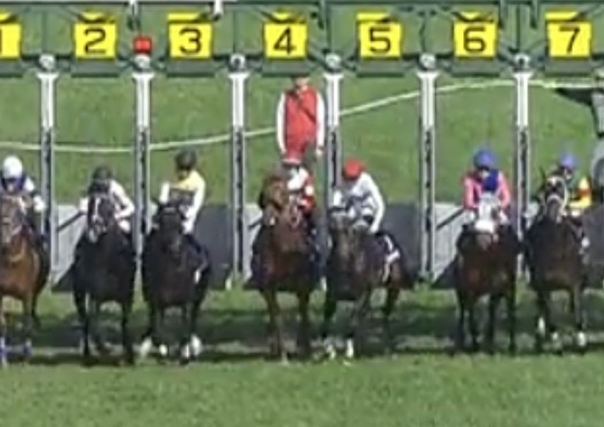 ぽぽん tweet media