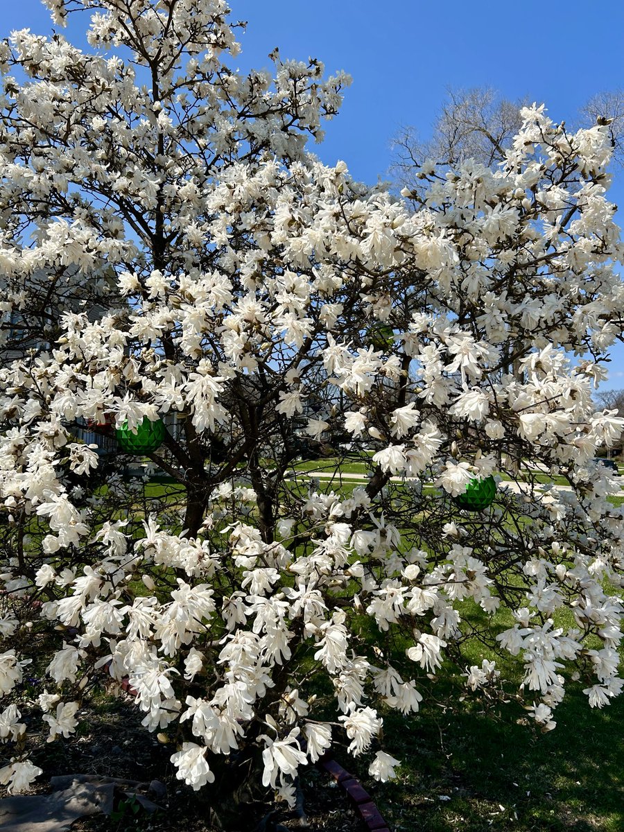 Michael Flight tweet media