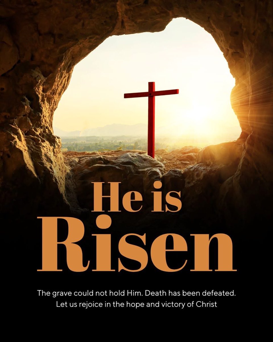 Sihle Ngobese tweet media