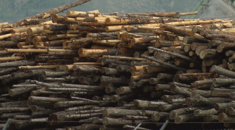 FOXNashville's tweet image. 🌲 BIG BUSINESS: Weyerhaeuser Company,  one of the world's largest private owners of timberlands and a leading manufacturer of #wood products, is bringing its first #Tennessee operation to #Gallatin.

bit.ly/413gfBu