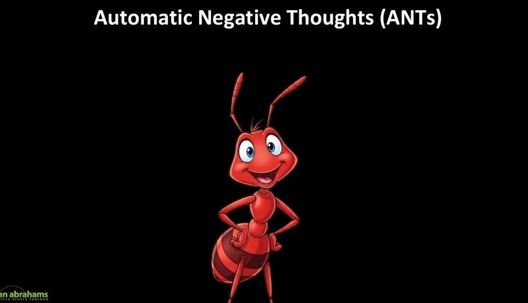 Daniel Abrahams tweet media