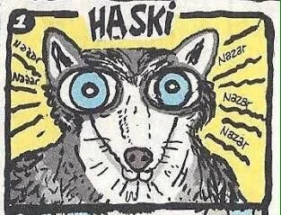 Samet Basri Taşlı tweet media