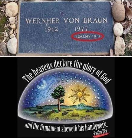 Grumpy Cat Parody tweet media