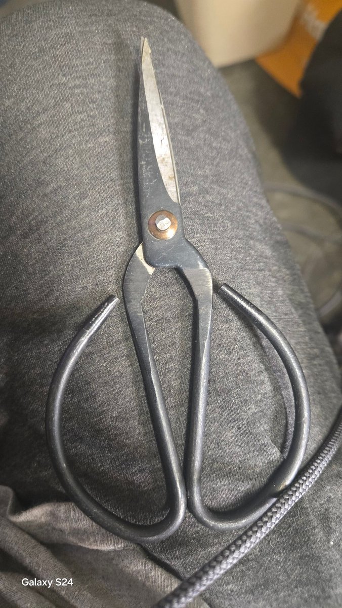 Duck Dodgers tweet media