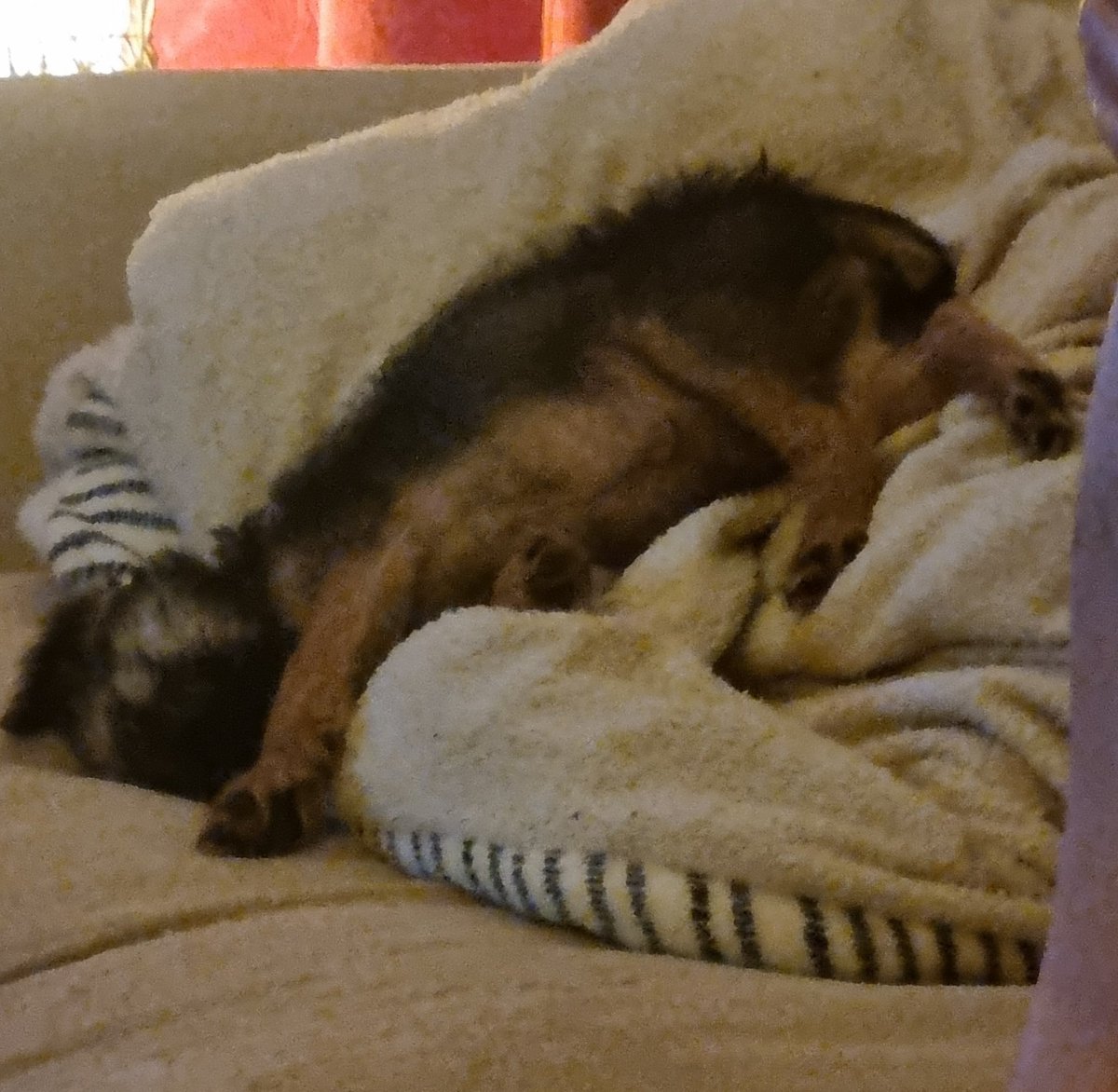 Reginald Barkley - sekretary of da social club! tweet media