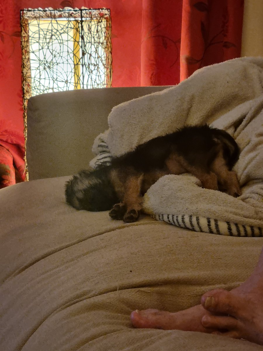 Reginald Barkley - sekretary of da social club! tweet media