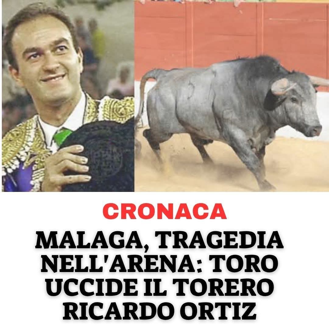 Tiziana Allasia tweet media