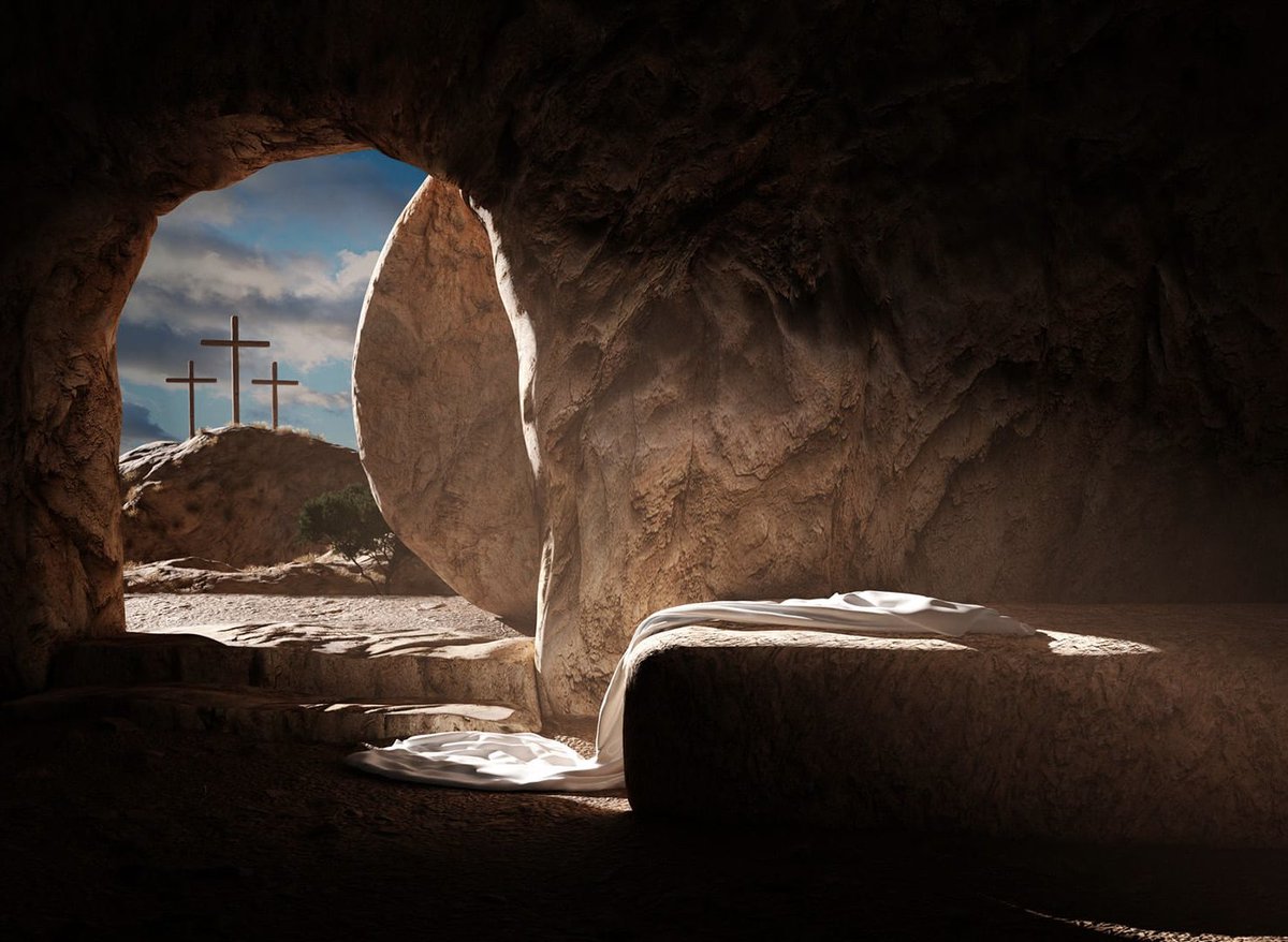 Brandon Herrera tweet media