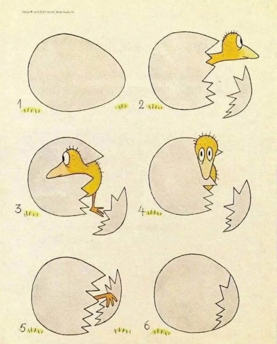 Nicoletta tweet media