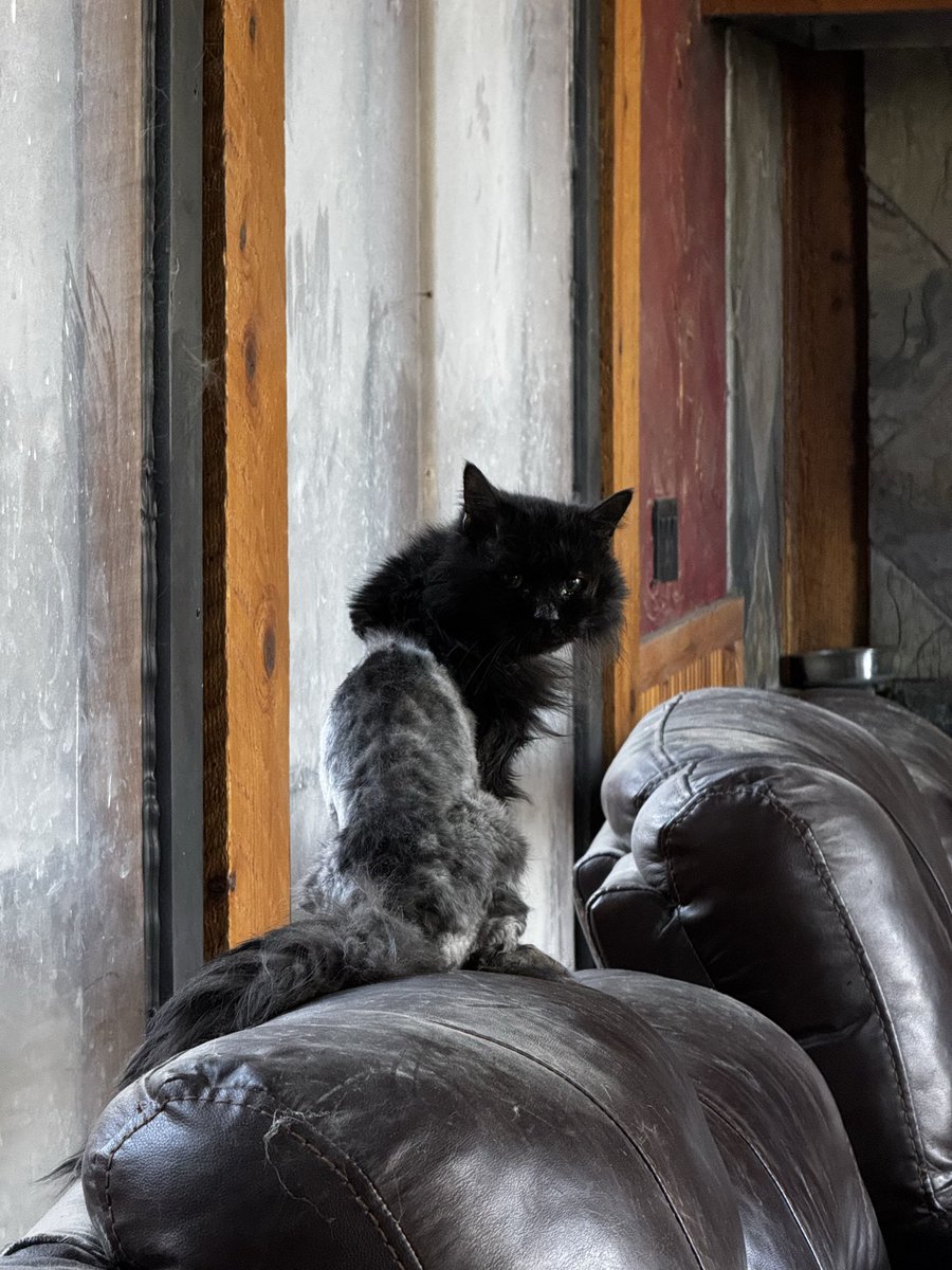 John Comis (@jfcomis) on Twitter photo 