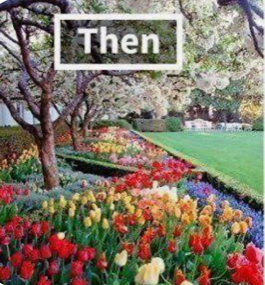 Kat Steele tweet media