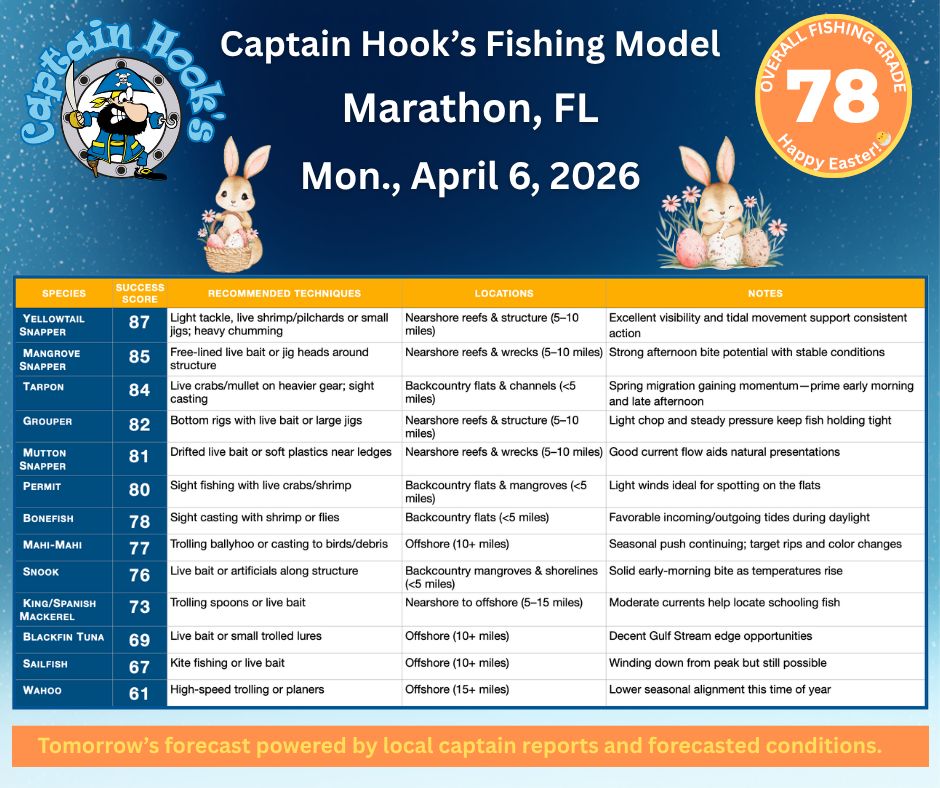 Captain Hook's tweet media