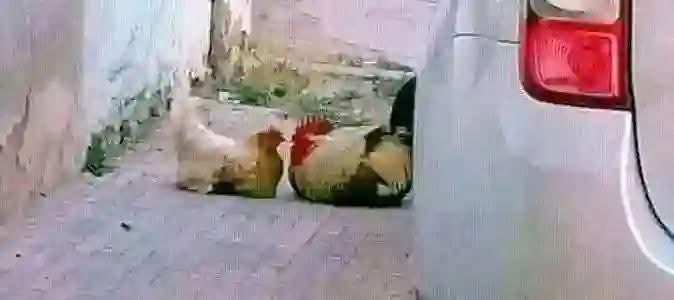 bilalmodi_BM tweet media