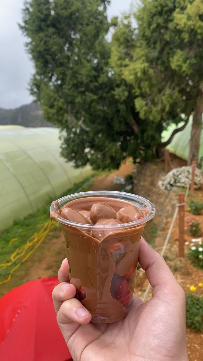 A11Shaker's tweet photo. therapy 🤍 https://t.co/tZA6EIMoua
