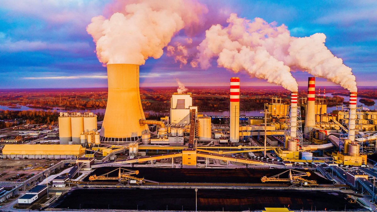 Daniel RDM tweet media