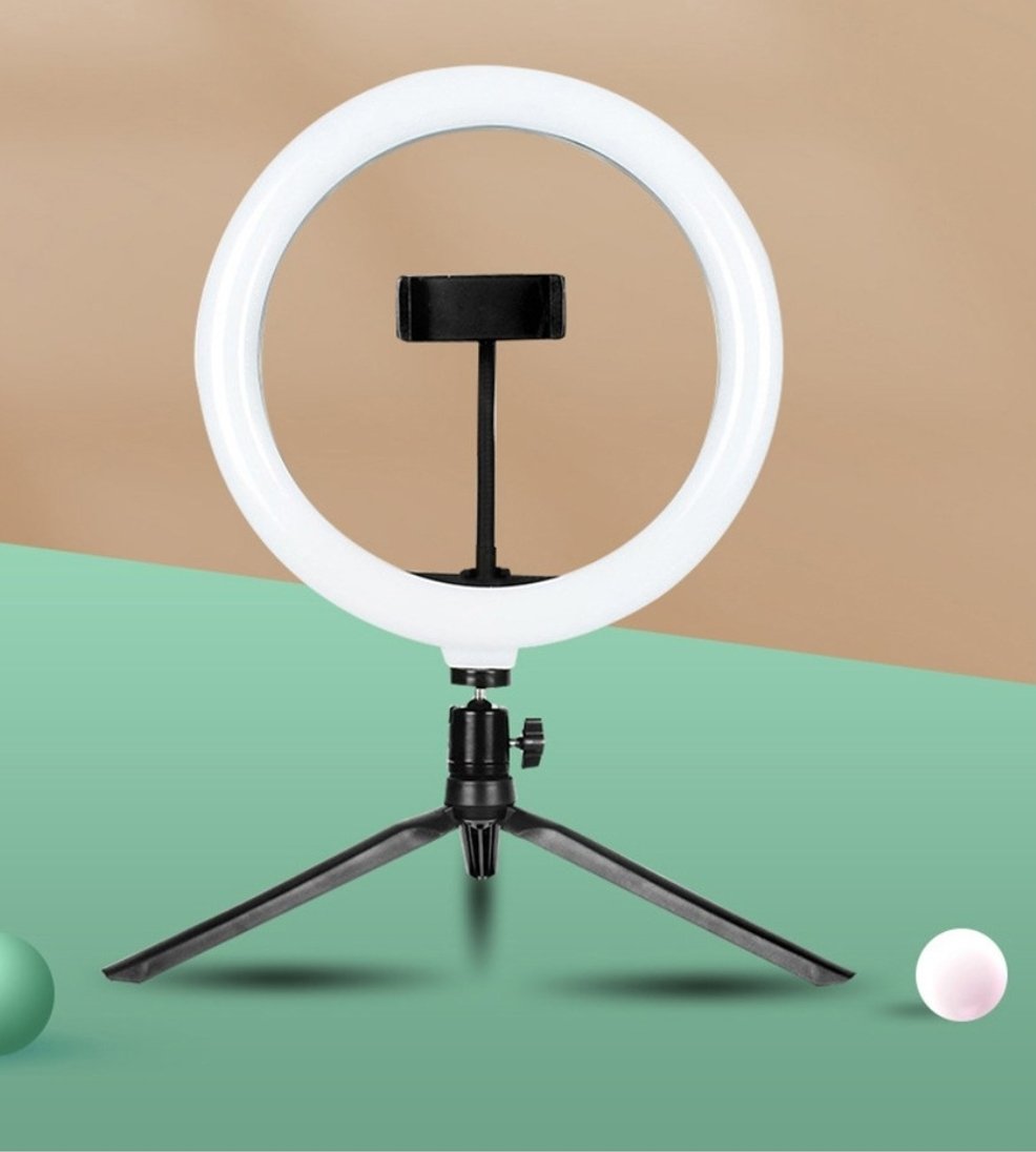 함미다 tweet media